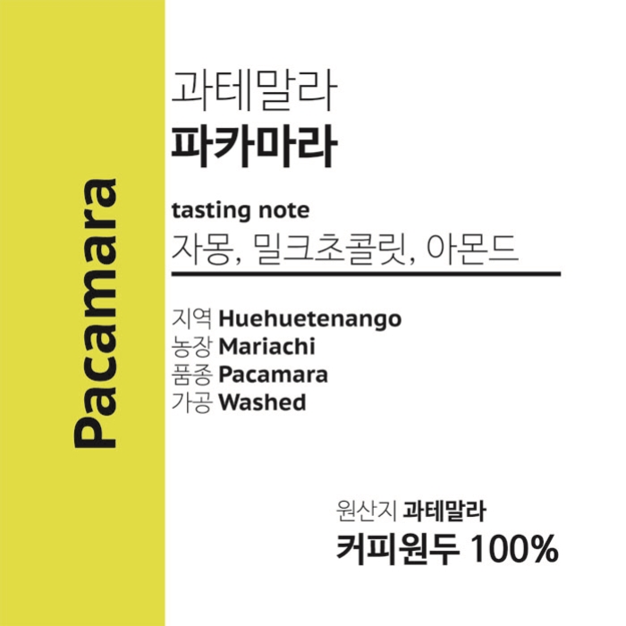 PACAMARA 원두